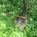 Muldoon Watercraft Campsite