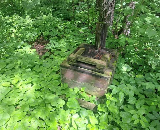 Muldoon Watercraft Campsite