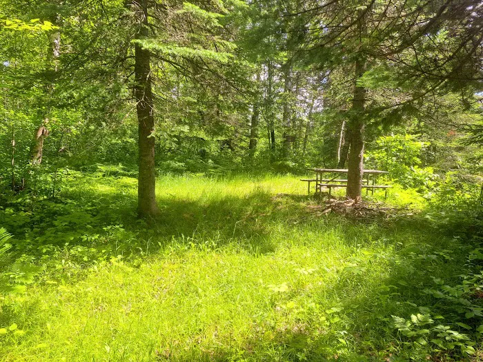 Muldoon Watercraft Campsite Picture 5