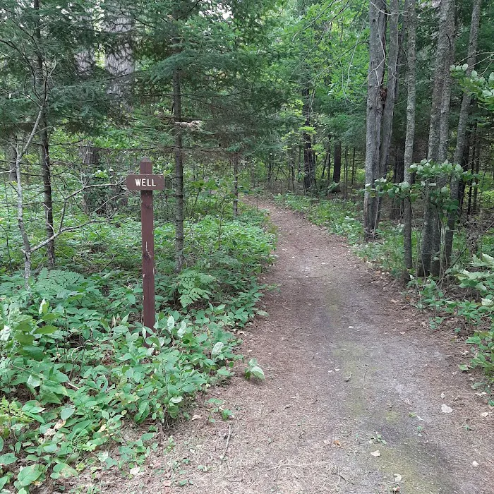 Webster Lake Campground Picture 6