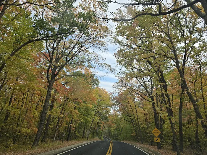 Lavinia Group Camp Picture 1