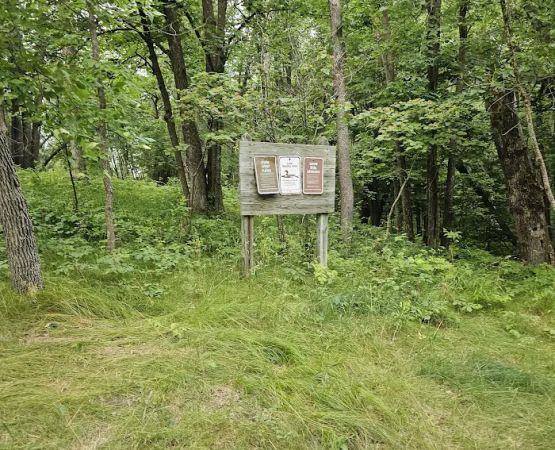 Silver Maple Watercraft Campsite