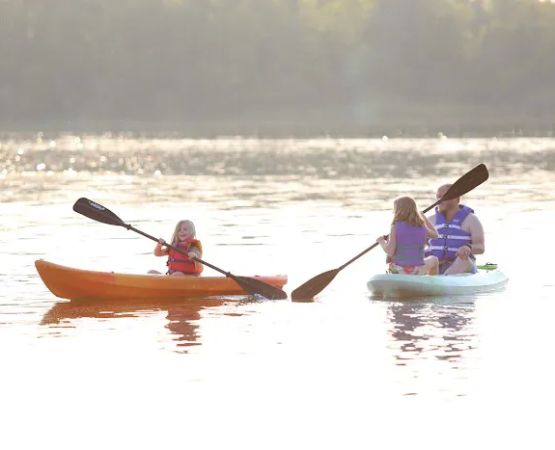Fox Lake Campground of Bemidji