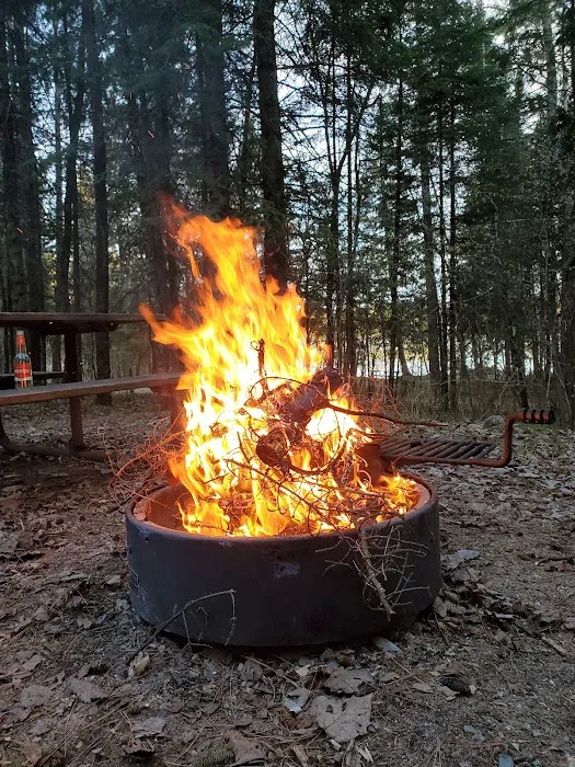 Thistledew Campground and Day Use Area Picture 6