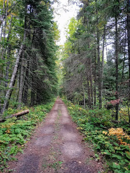 Thistledew Campground and Day Use Area Picture 5