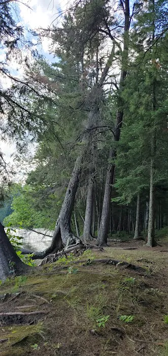 Thistledew Campground and Day Use Area Picture 9