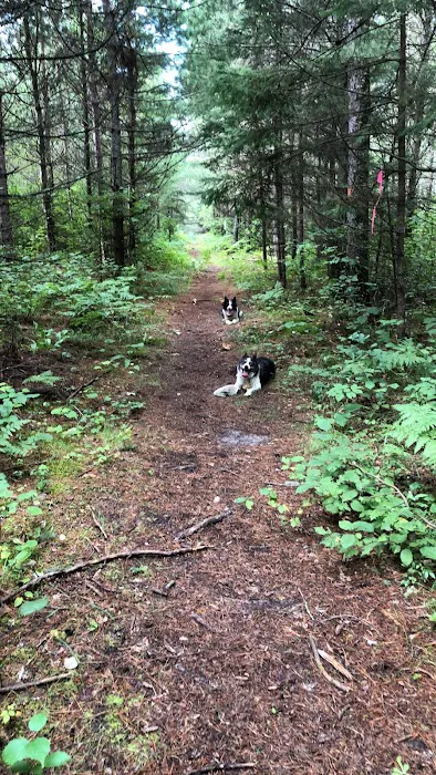 Buttonbox Lake Campground Picture 1