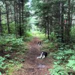 Buttonbox Lake Campground