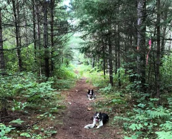 Buttonbox Lake Campground