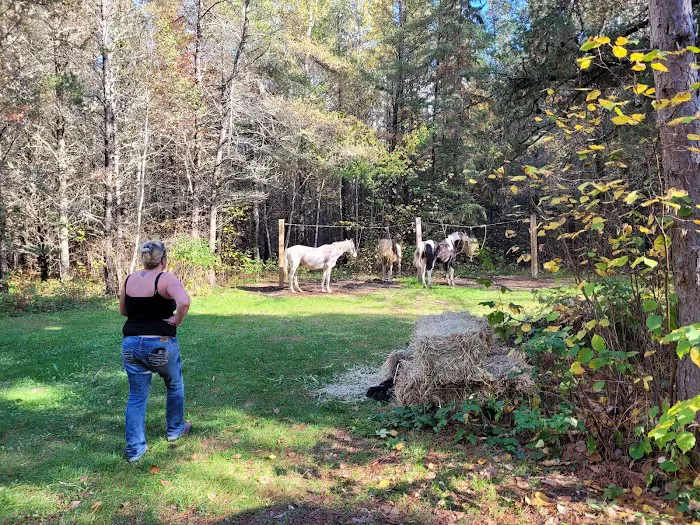 Buttonbox Lake Campground Picture 2
