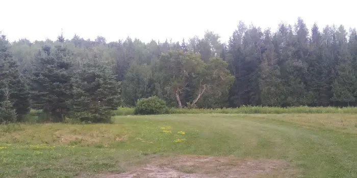 Samuelson Park Picture 3