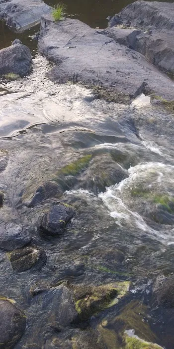 Samuelson Park Picture 10