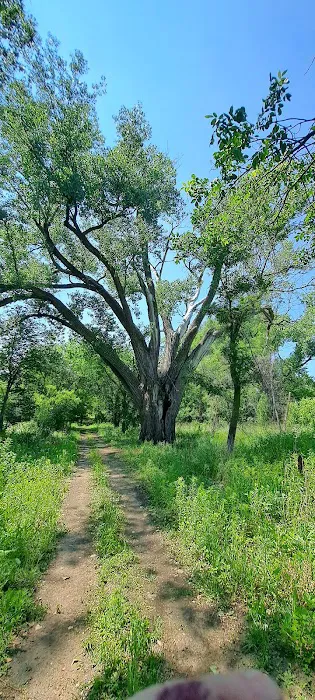 Olivet Campground Picture 4