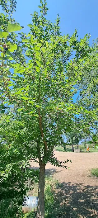 Olivet Campground Picture 8