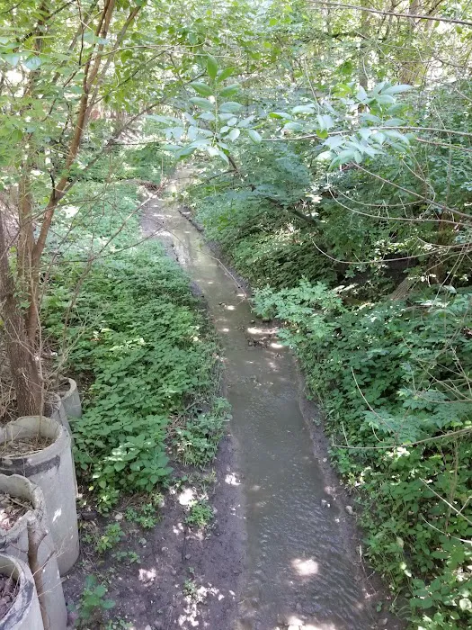 Midway Gulch Campground Picture 2