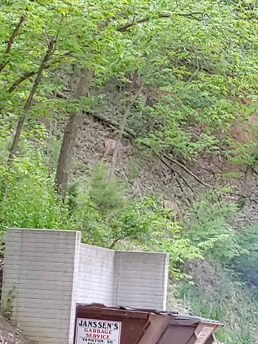 Midway Gulch Campground Picture 8