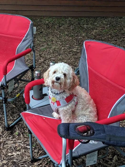 Midway Gulch Campground Picture 5