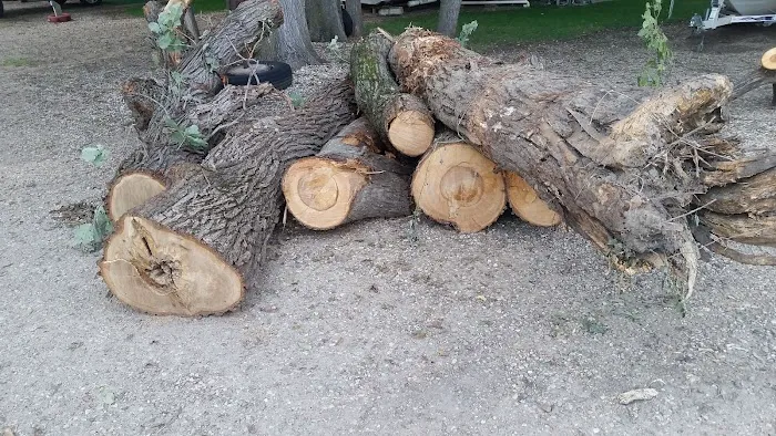 Midway Gulch Campground Picture 4