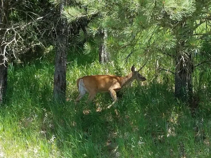 Sioux Council Boy Scout Reservation Picture 3
