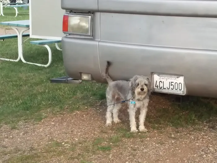 Rondees Campground Picture 3