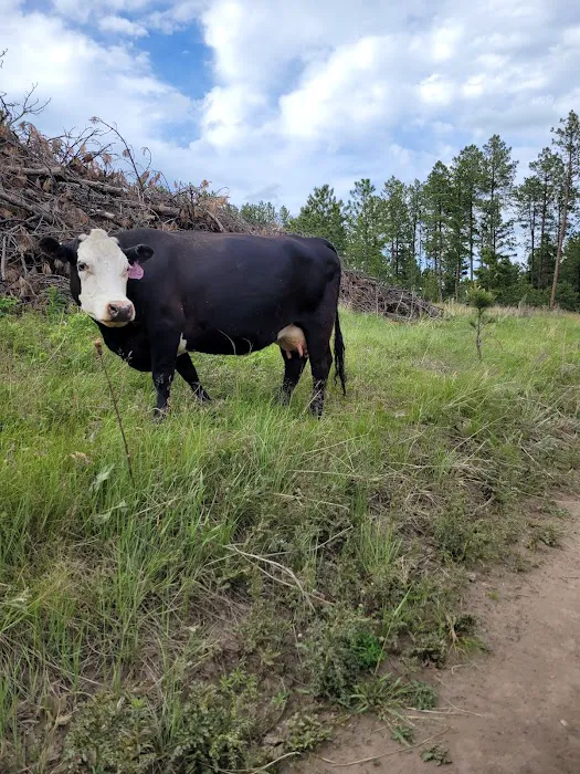 Dakota Campground Picture 3