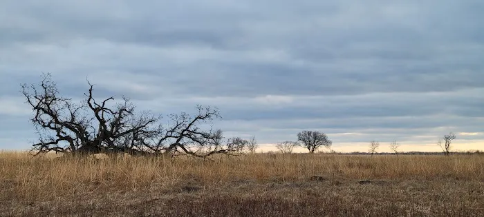 Buffalo River State Park Campground Picture 8