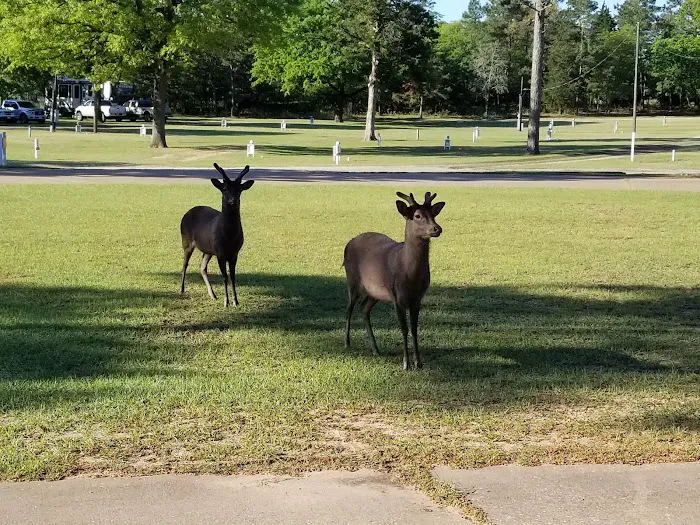 Camp Tonkawa Springs RV Park and Campground Picture 6