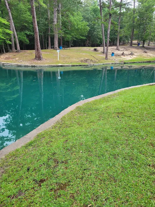 Camp Tonkawa Springs RV Park and Campground Picture 3