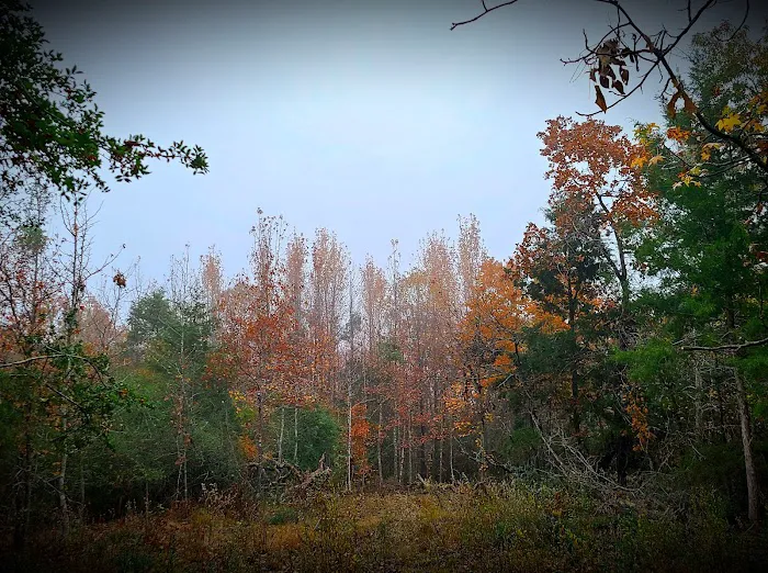 Viking Hall Picture 4