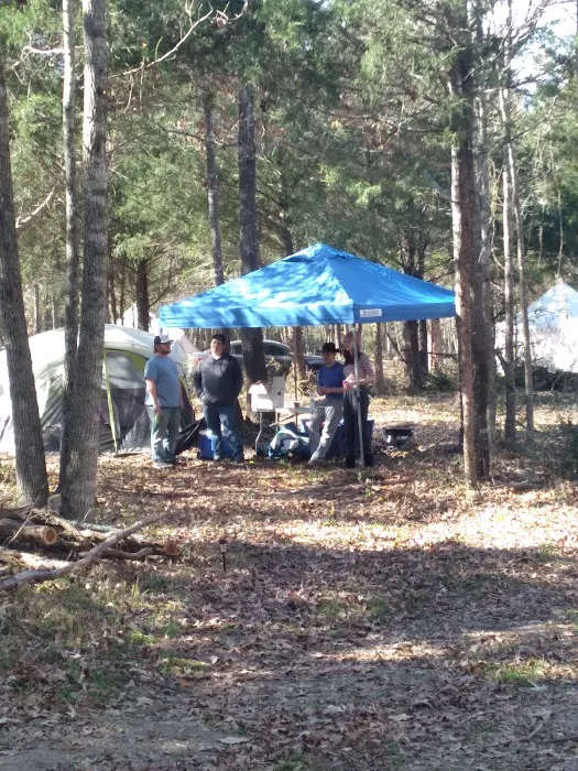 Woodcock Woodlands Picture 7