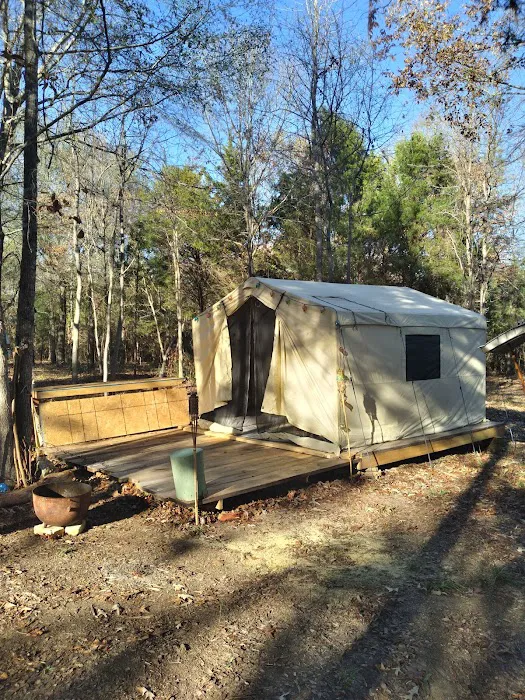 Woodcock Woodlands Picture 6