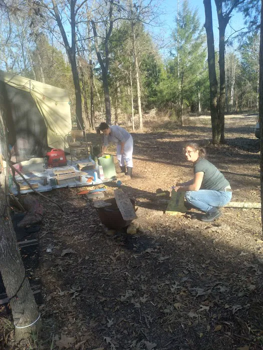 Woodcock Woodlands Picture 8