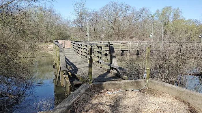 Bright Star Campground Picture 6