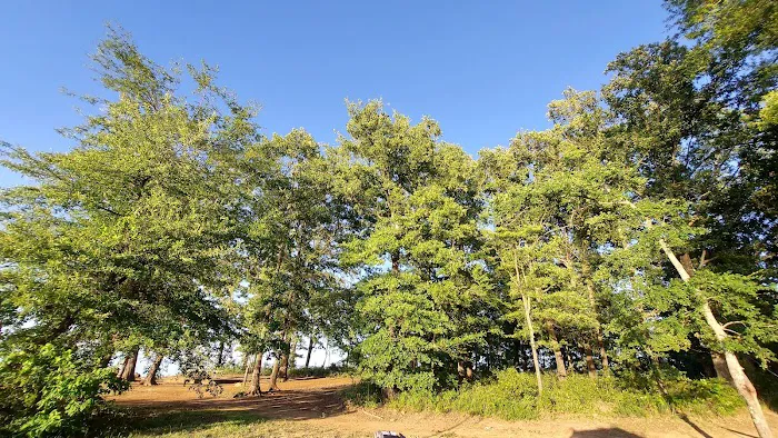 Oak Grove Campground Picture 7