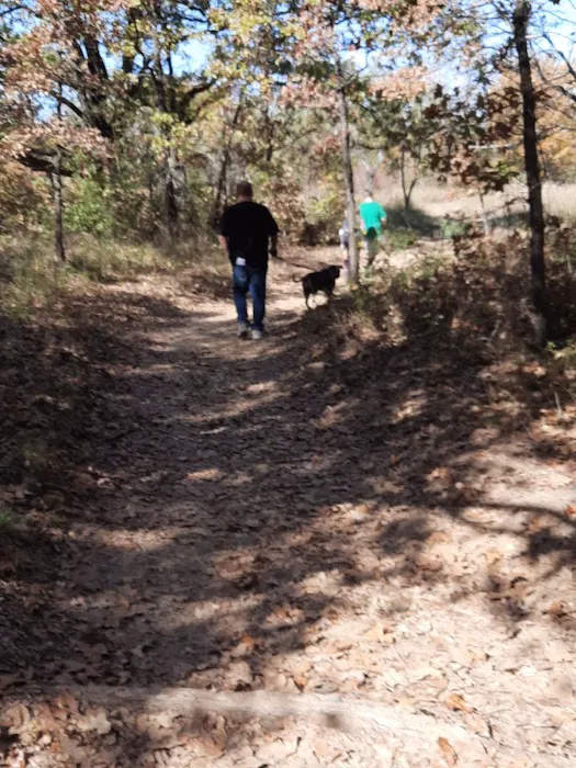 Buggy Whip Equestrian Campground Picture 9