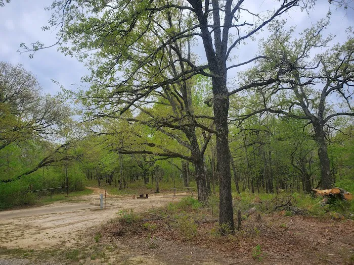 Buggy Whip Equestrian Campground Picture 4