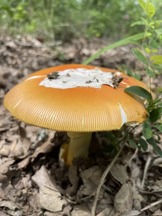 Deer Haven Campground Picture 4