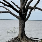 Deer Haven Campground