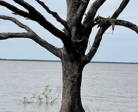 Deer Haven Campground