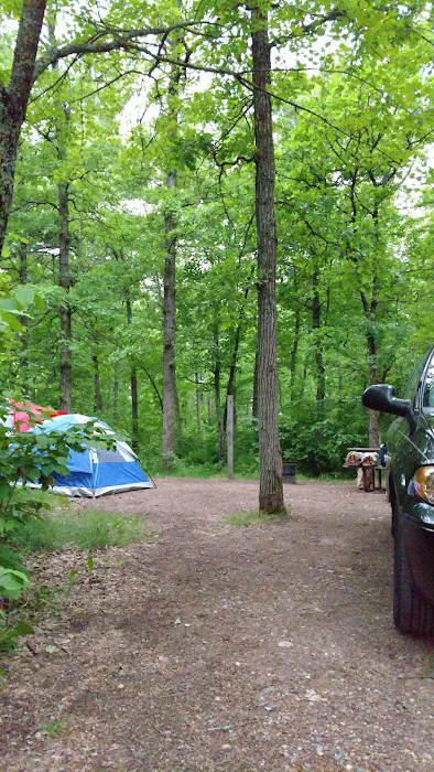 Pine Ridge Campground Picture 3