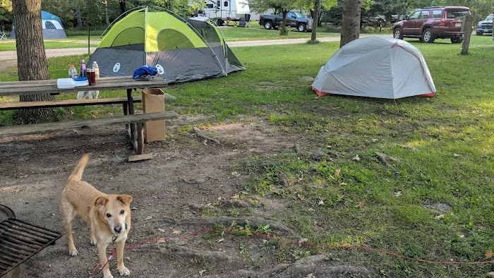 Pine Ridge Campground Picture 8