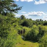 Coffee Pot landing campsite