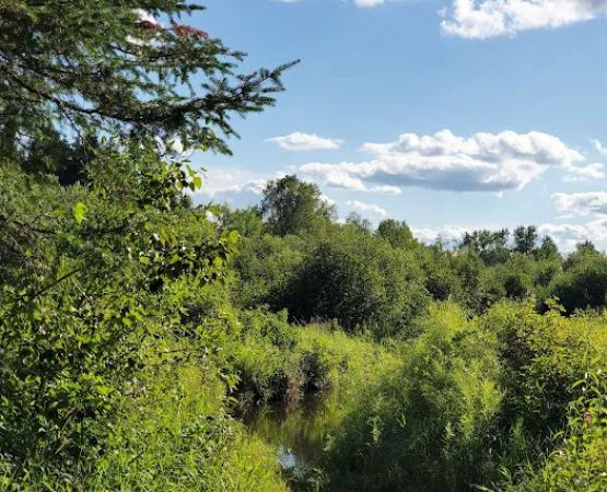Coffee Pot landing campsite