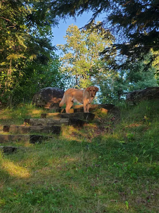 Coffee Pot landing campsite Picture 5