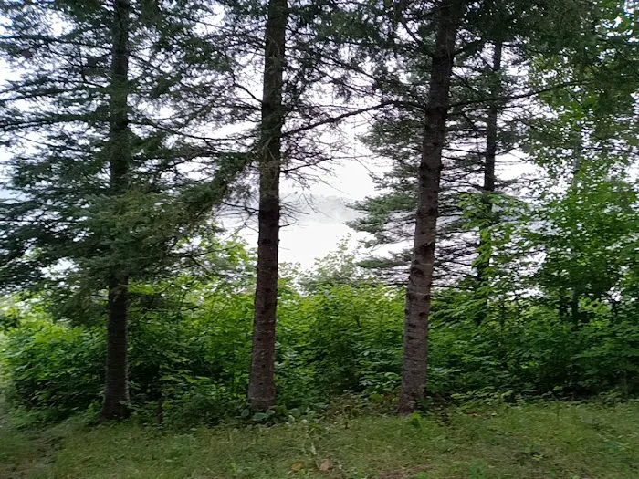 Carson Campsite Picture 1