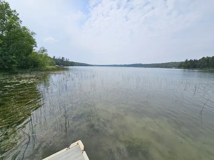 Black Bear Hollow Seasonal RV Park Picture 3