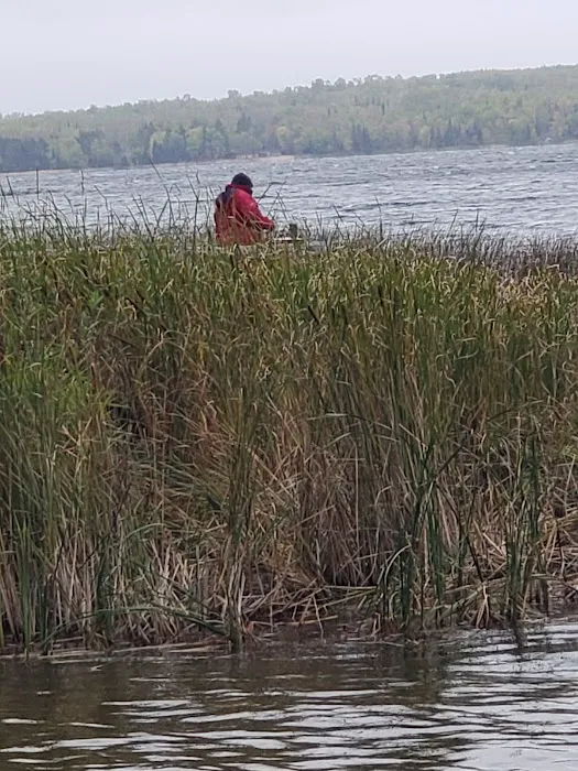 Whaley's Resort & Campground Picture 3