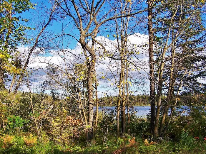 Big Elbow Lake Lodge and Campground LLP Picture 4