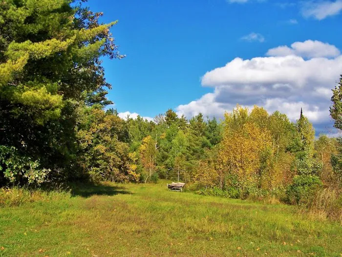 Big Elbow Lake Lodge and Campground LLP Picture 7