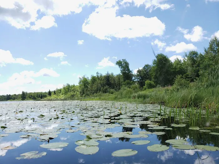 Little Elbow Lake Tribal Park/Campground Picture 4